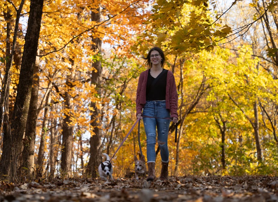 cef8d255319fd4e8792b82504cfb5261