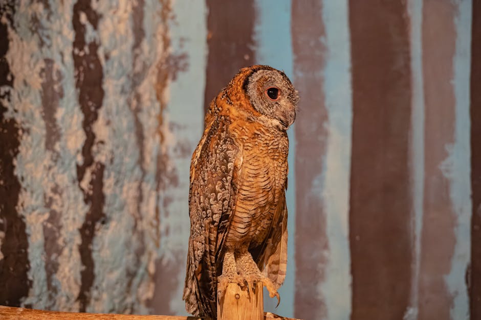 Guide: Productivity Hacks for Night Owls and Procrastinators