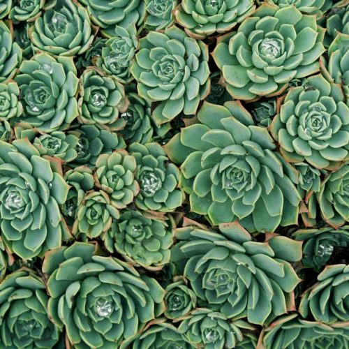 43d002eea0cd55975120b0048374fe28