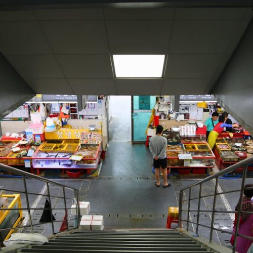 Guide: Digital Marketing and SEO news updates 2026-02-13