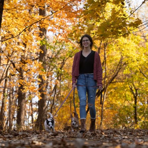 cef8d255319fd4e8792b82504cfb5261