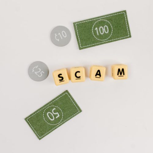 Guide: How to Spot Scams in the 'Make Money Online' Niche